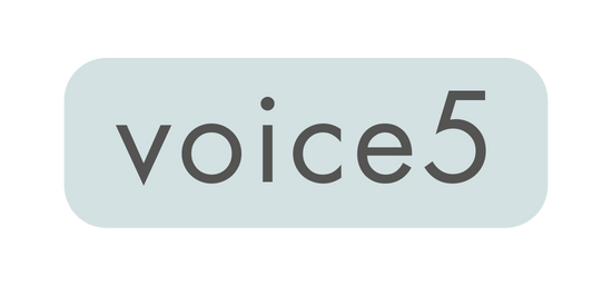 voice5